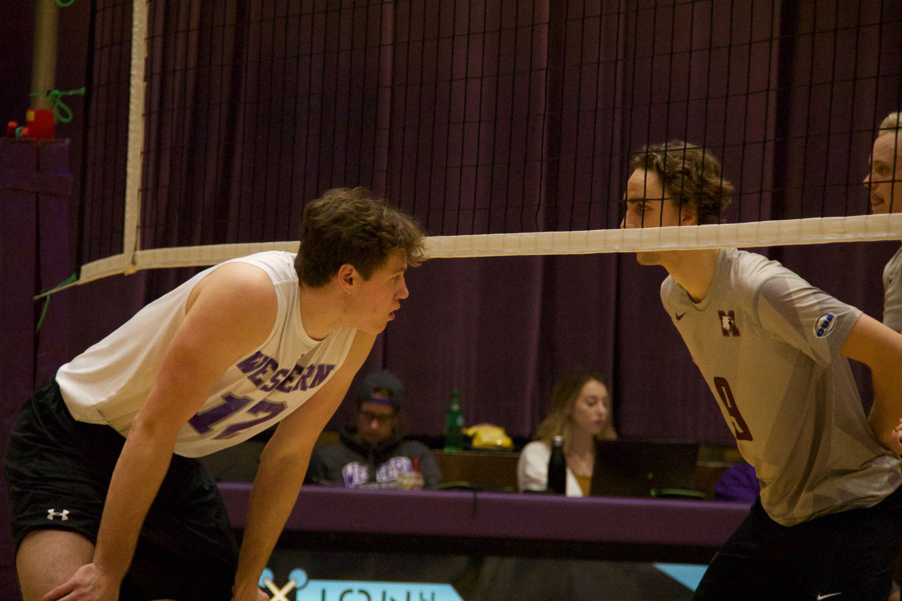 Western Vs McMaster Volleyball Picture